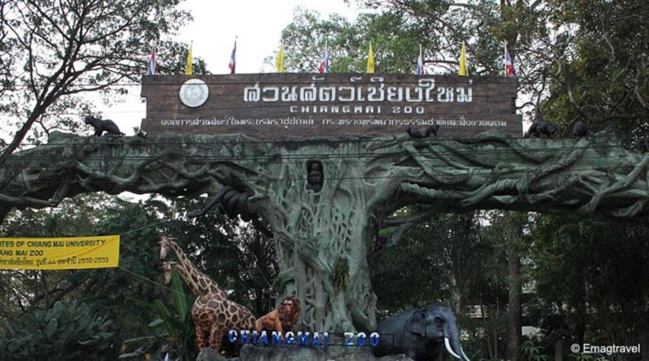 XX Go Inn Chiang Mai University - Cmu — Photos 2